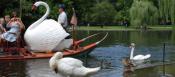 Swan Boat - The Public Garden
