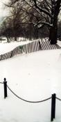 Snowy Boston Common (PA34)
