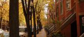 Victorian Townhouses - South End