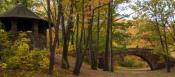 Riverway in the fall