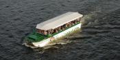 DuckBoat in Charles River (LB29)