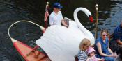 Swan Boat - Boston Public Garden (LB08)