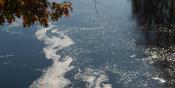 Emptying into Charles River (LA15)