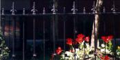 South End Metal Fence (LA35)