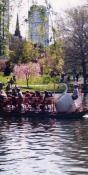 Boston Public Garden (PA06)