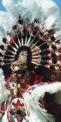 Caribbean Parade (PA14)