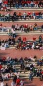 Sports Fans (PA35)