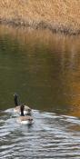 Charles River (PA38)
